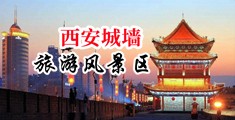 男抽插女视频网站中国陕西-西安城墙旅游风景区